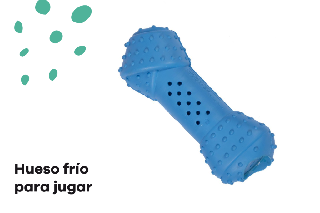Imprescindibles para el verano