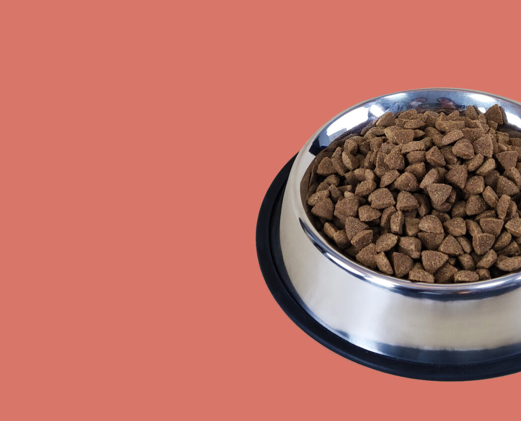 comida perro NUTRIPLUS