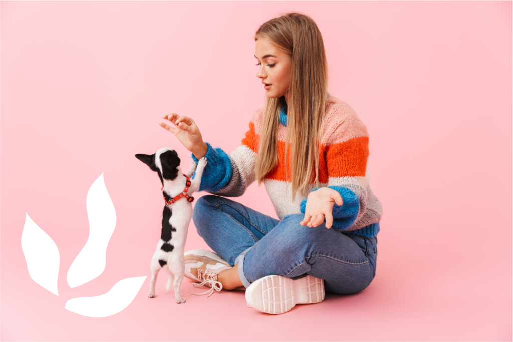 Juegos mentales para perros