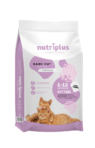 Nutriplus alimentación para gato kitten